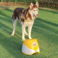 PETCA 강아지장난감 실내외 무선 움직이는 자동 공놀이 놀이기구 반려견, 1박스 
