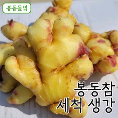 [봉동들녘]국내산 봉동참 세척 생강 5kg, 1개