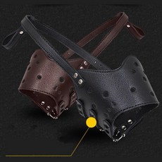 보더콜리입마개