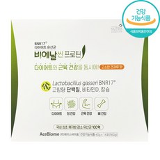 비에날씬 BNR17 [본사출고] 프로틴, 1개
