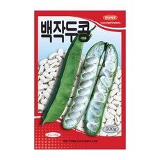 경신종묘 콩씨앗 백작두콩 500g, 1개