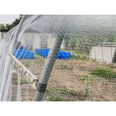 참새망 과수용 농작물 보호 새방지망 조류 새망 참새, 1개