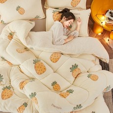 겨울이불 이불 솜이불 두꺼운 보온 10근 양면 양털 겨울용 전체면이불 심싱글 더블 학생기숙사, C01-Nl파인애플 세계