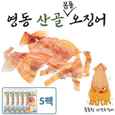 바다를담다