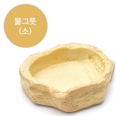 아마존 SH6004 접시소, 1개