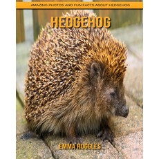 Hedgehog: Amazing Photos and Fun Facts about Hedgehog Paperback, Independently Published