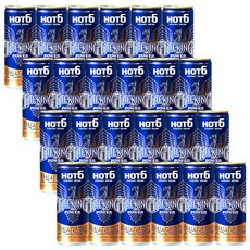 롯데칠성 핫식스더킹 파워 355ml 24입, 파워 24입