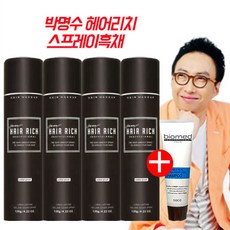 헤어리치 박명수헤어리치 박명수흑채 스프레이흑채 120g 4개, 흑갈색