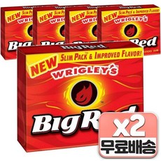 Big Red 빅 레드 시나몬 츄잉껌, 10개, 50g