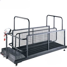 애견수중런닝머신 재활 훈련 워킹 물리치료 강아지