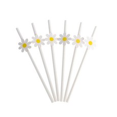 생일 파티 장식 깃발 당김 꽃 접시 빨대 풍선 케이크 토퍼 소녀, 10pcs straw B