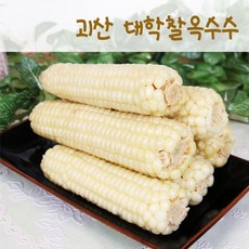 수확후바로삶은 괴산 대학찰옥수수 15개(3개씩포장), 없음, 상세설명 참조