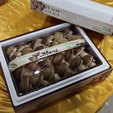 dbfresh 송화고버섯 1kg 생산자 당일수확 농장직송, 1개, 12.송화고버섯 [고급형] 1kg 고급선물포장