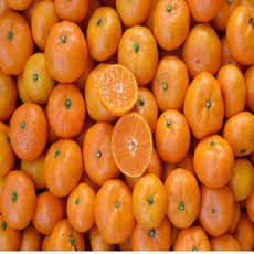 제주 감귤 고당도 타이벡 타이백 귤 밀감, 3kg, 타이벡 감귤 중과(2S-L) 중품, 1개