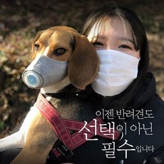 포메라니안인형