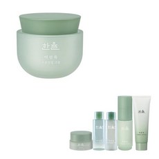 한율 어린쑥 수분진정크림 65ml +, 단품