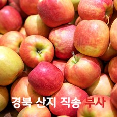 케이벨류 경북 품질엄선 산지직송 부사 사과 2 3 5 10 키로, 1박스, 5kg 상등급 대과 (14~17과)