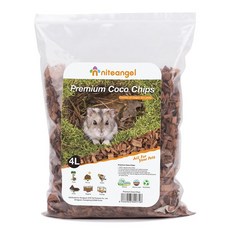 나이트엔젤모래존