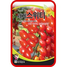 대추방울토마토 씨앗 세계스위티 30립 채소씨 종자 Cherry tomato seeds, 단품