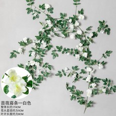 1721302b0c54aeaa831e78e30277f7525e6d4040704a5786c5f92d426a4f.jpg