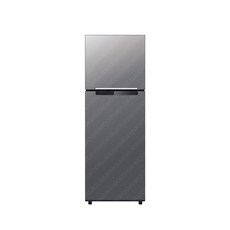 삼성전자 냉장고 RT25DARAHS9 255L [SS]