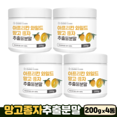 망고 씨앗 100% 추출 분말 베타카로틴 단백질 식이섬유 아프리카 와일드망고, 4개, 200g