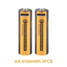 호환 DLGPOWER USB 충전식 리튬 배터리 시계 원격 카메라 손전등 마우스 소형 선풍기 마이크 1 5V AA 4100mWh, AA 4100mWh 2pc, 2개