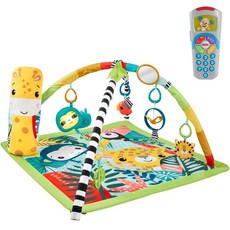 (fisher price) 0 DRD26-HJW08 피셔 프라이스 레인 포레스트 체육관과 강아지 바이, 1개