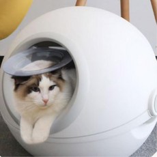 원형 사막화방지 고양이 화장실/ 변기통 굿똥 고양이변기 고양이토일렛