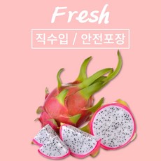 드래곤후르츠