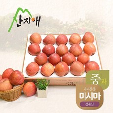 산지애 알뜰 못난이사과(중과) 4.5kg 1box / 당도선별 청송산 미시마, 1개