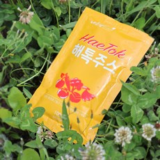 진심담음 ABC 클렌즈 주스 100ml 30포, 해톡주스 100ml, 30팩