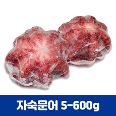 피문어10kg