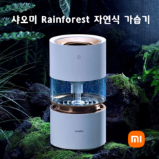 rainforest 추천 1등 제품