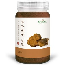  동의한재 최상품 러시아 차가버섯 분말 가루 300g, 1개 