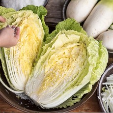 지리산 청정지역 절임배추 20kg 예약판매 11월00일부터 발송, 2024년11월15일금요일, 1박스