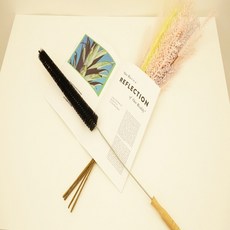 건조기콘덴서청소솔