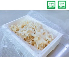 황제버섯