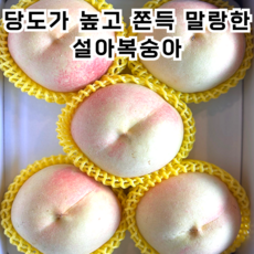 말랑 쫀득하고 당도 높은 복숭아 고당도 국내산 제철 제철복숭아 딱딱이복숭아 겨울복숭아 눈꽃복숭아 설아복숭아 설아 설숭아 설복숭아 햇복숭아 11월복숭아 귀한복숭아 눈꽃설아 진치우홍, 1박스, 중대과 1.25kg (4~5과)