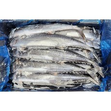 업소용 국내산 냉동 삼치 21/22마리 14.5kg전후, 1박스, 14.5kg