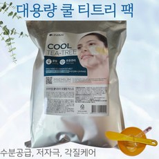 HOME AESTHETIC LINDSAY 1+1쿨 티트리 대용량 모델링팩(1Kg)+팩도구세트 린제이 COOL TEA-TREE, 1kg, 2개