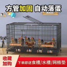 스테인철망