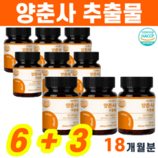 양춘사 바나바잎 추출물 사인 사인씨 축사씨 분말 바닐릭산 효능, 9개, 60정