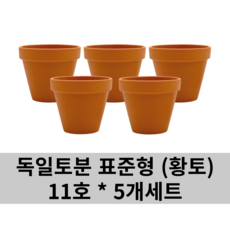 터키팽이