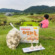 의성마늘 저장용 흑마늘용 한지형 토종마늘 마늘한접, 3kg(상) 약 100개 내외, 1박스