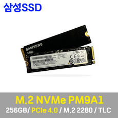삼성전자 PM9A1 M.2 NVMe SSD 256GB (벌크), PM9A1 256GB