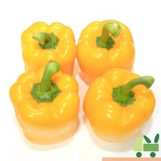 사라상회 파프리카 2Kg (비품 - 노랑), 1개