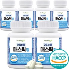 건강선물 속편한 매스틱 정 식약처 HACCP 인증 600mg 90정, 6개