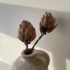 방크시아