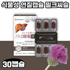가네맥스